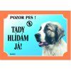 Tabulka Tady hlídám! Kavkazský ovčák 1ks