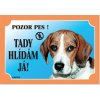 Barevná cedulka Pozor pes Beagle