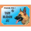 Barevná cedulka Pozor pes Německý ovčák profil