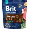 Brit Premium pro citlivé psy 1kg