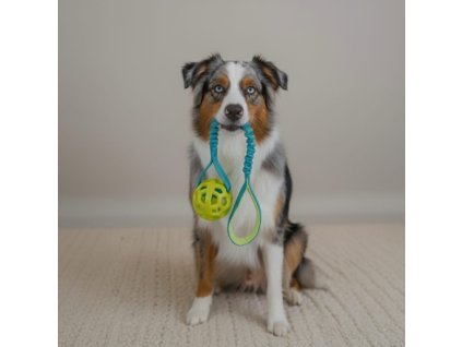 WhatsApp Image 2025 12 26 at 22.26.08