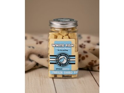 Obrázek WhatsApp, 2025 11 13 v 16.50.26 641e8593