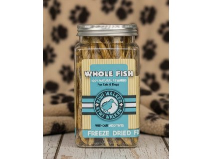 Obrázek WhatsApp, 2025 11 14 v 01.20.50 8bb9a2ff