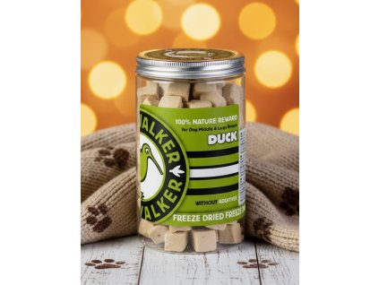 Obrázek WhatsApp, 2025 11 12 v 00.01.47 eb16f22a