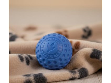 Obrázek WhatsApp, 2025 11 16 v 00.46.33 b882a8c3