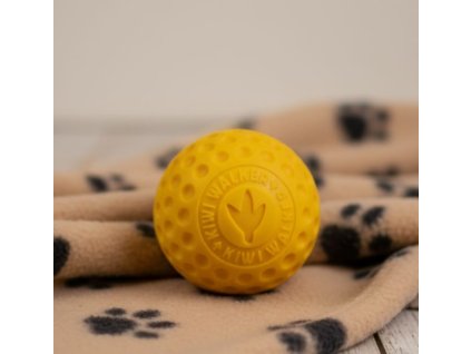 Obrázek WhatsApp, 2025 11 16 v 00.46.33 ab5d188a