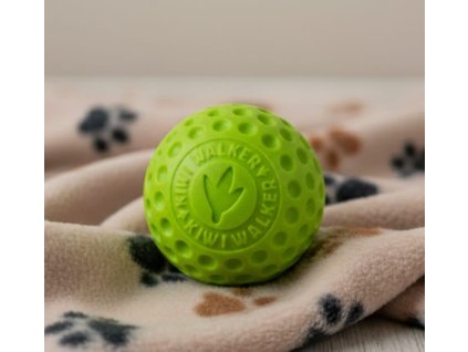 Obrázek WhatsApp, 2025 11 16 v 00.46.33 89758734