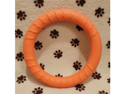 Obrázek WhatsApp, 2025 11 16 v 18.34.26 e76a3075