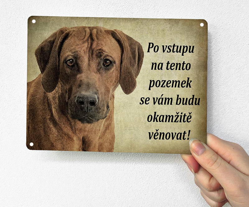 Plechová cedulka s rhodéským ridgebackem