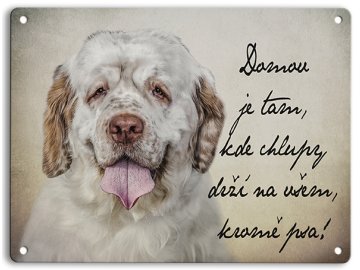 clumber spaniel