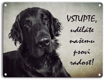 Flat coated retriever černý - Vstupte