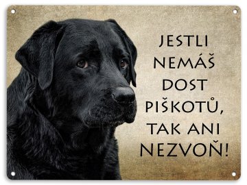 labrador cerny piskoty