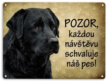 labrador cerny pozor