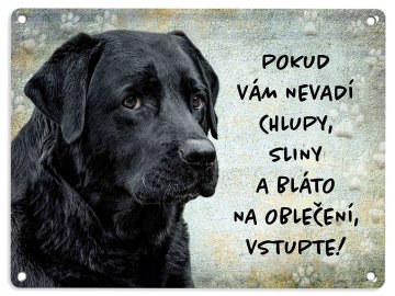 labrador cerny chlupy sliny