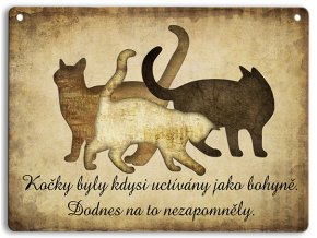 kocky bohyne