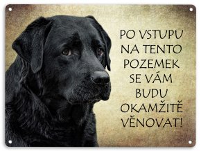 labrador cerny pozemek