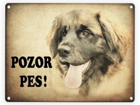 Leonberger-Pozor pes