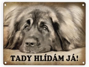 Leonberger-Tady hlídám já 2