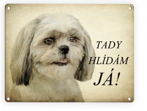 Shih-tzu-tady hlídám já