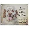 clumber spaniel