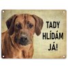 ridgeback hlidam