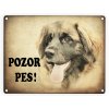 Leonberger-Pozor pes