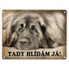 Leonberger-Tady hlídám já 2