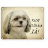 Shih-tzu-tady hlídám já