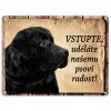 labrador cerny vstupte