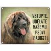 Leonberger-Vstupte