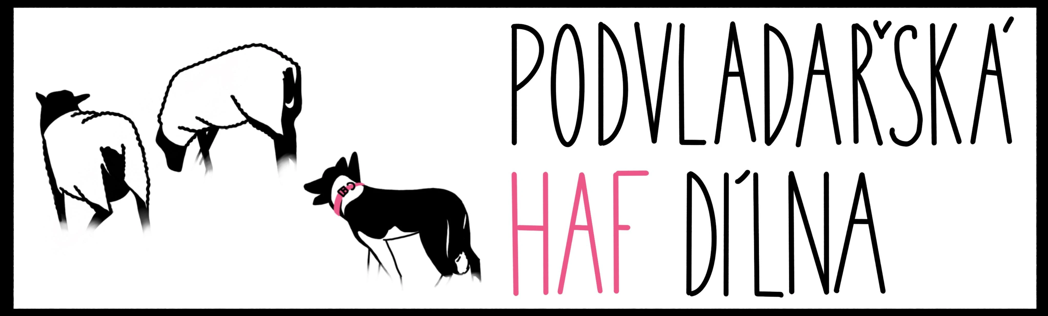 Podvladařská HAF dílna