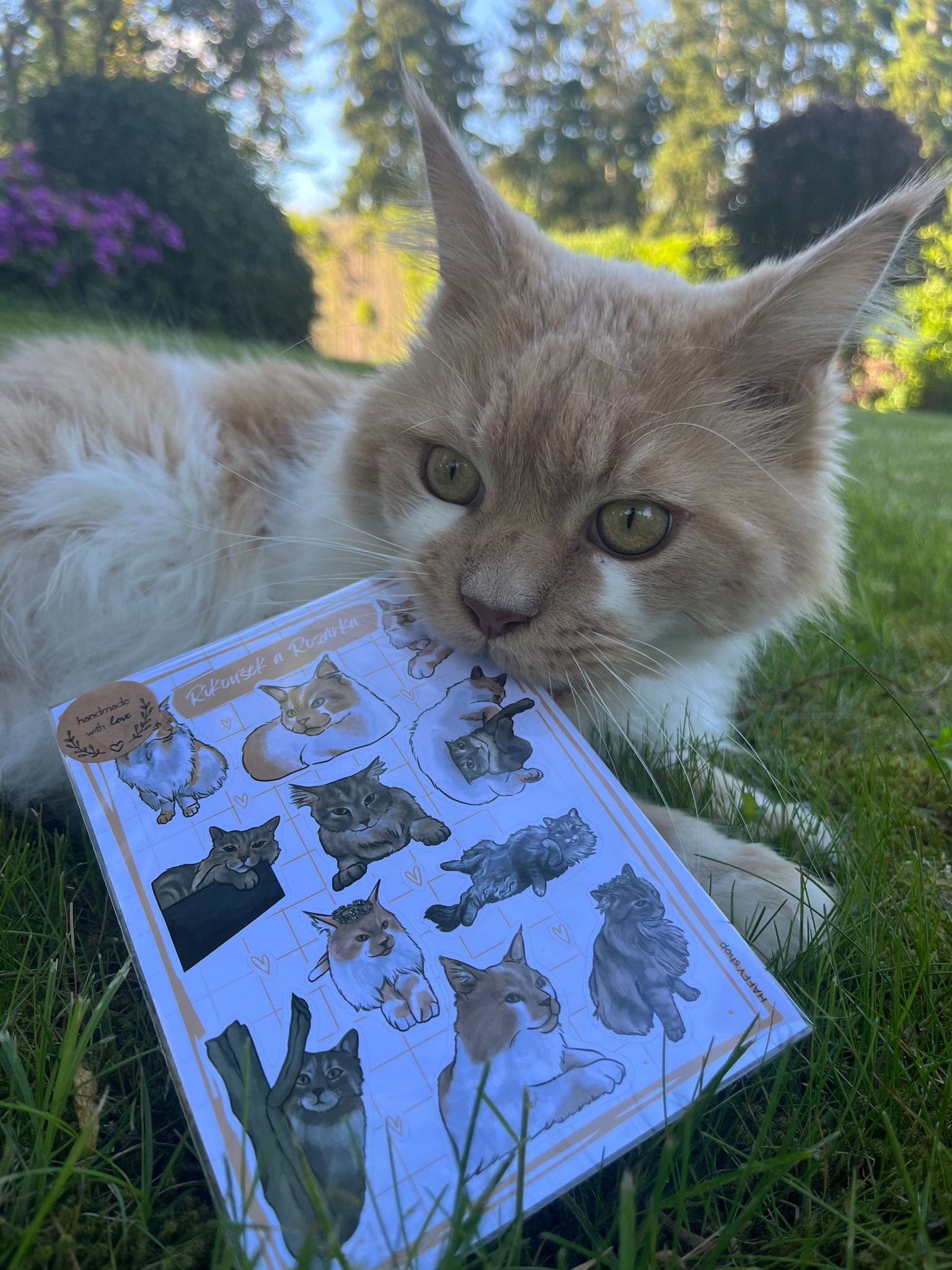 Samolepky na zakázku