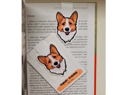 Obrázek WhatsApp, 2025 02 20 v 17.06.20 30e86287