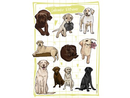 Minimalist Black and White Blank Paper Document