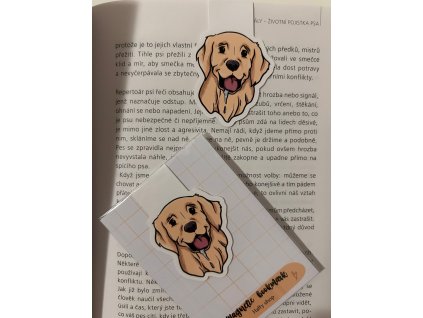 WhatsApp Image 2025 07 31 at 08.43.51 (2)