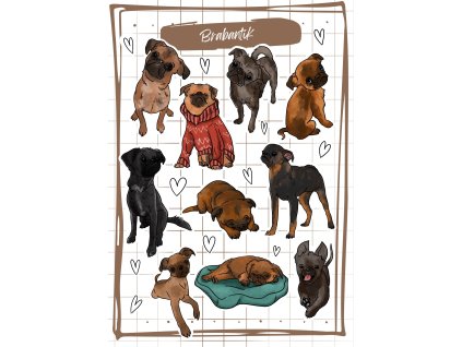 Obrázek WhatsApp, 2025 02 08 v 17.13.50 a88347b7