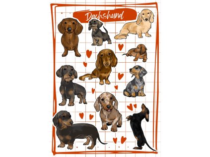 Obrázek WhatsApp, 2025 02 08 v 17.13.56 bac133a8