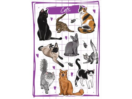 Obrázek WhatsApp, 2025 02 08 v 17.14.01 b3e270fa