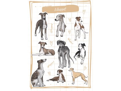 Obrázek WhatsApp, 2025 02 08 v 17.13.51 d6ced993