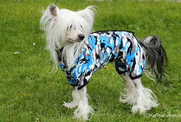 Fotogalerie 4/5 – lehké overaly pro psy