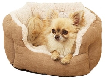 Jak vybrat psí pelíšek