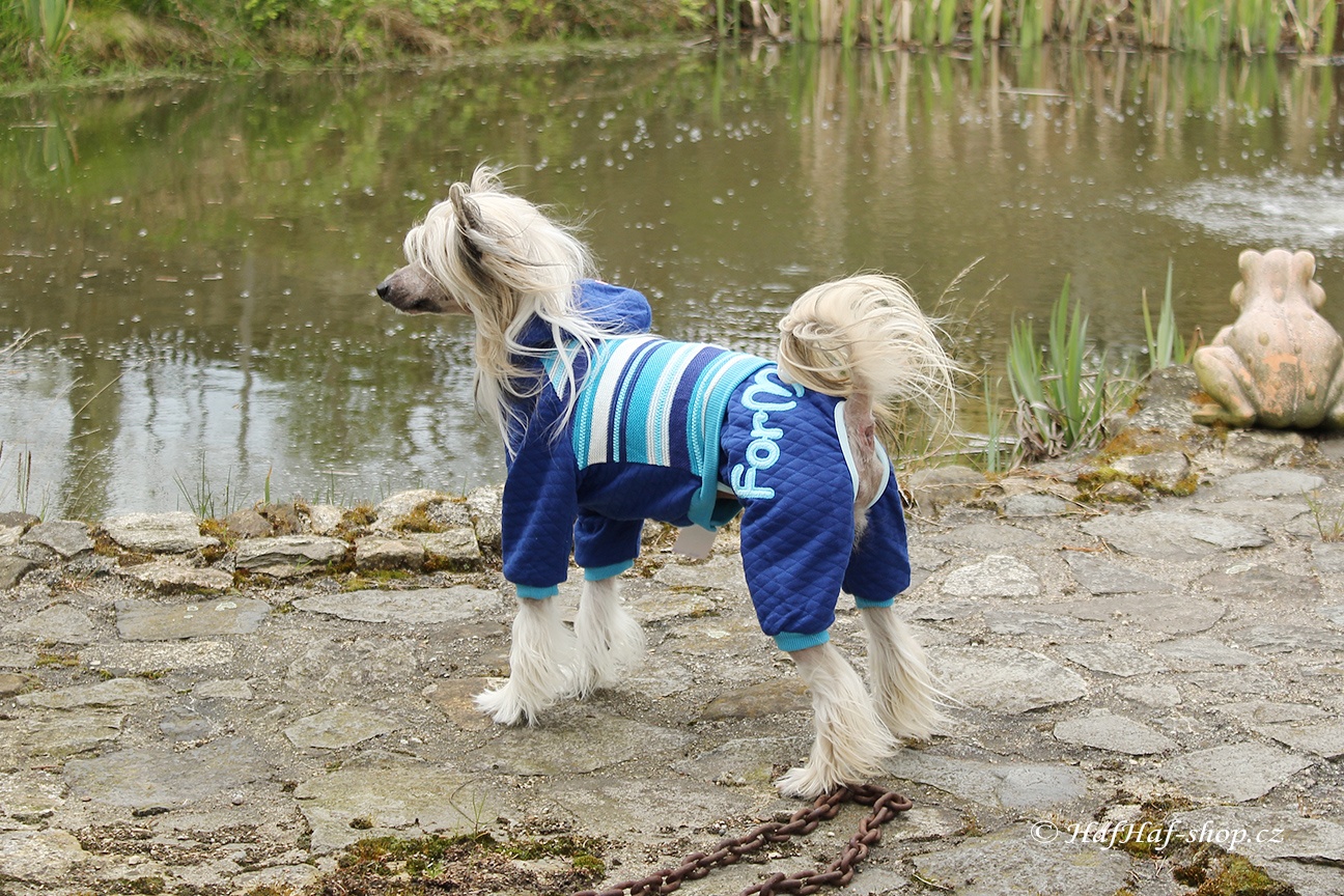 Oblečky pro psy – Úpletový overal For My Dogs, modrý