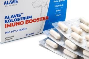  ALAVIS Kolostrum Imuno Booster podávejte pro podporu imunity a vitality, při rekonvalescenci, pro správné fungování střev a zažívání (2)