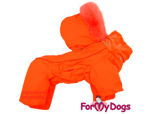  Nový typ zatepleného zimního overalu pro fenky ORANGE od For My Dogs. Svršek nepromokavá membrána s teflonem, zateplený sinteponem, antistatická flísová podšívka (3)