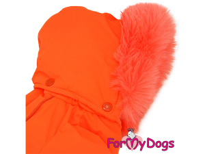  Nový typ zatepleného zimního overalu pro fenky ORANGE od For My Dogs. Svršek nepromokavá membrána s teflonem, zateplený sinteponem, antistatická flísová podšívka (5)