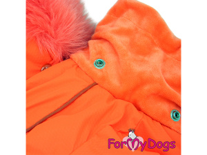  Nový typ zatepleného zimního overalu pro fenky ORANGE od For My Dogs. Svršek nepromokavá membrána s teflonem, zateplený sinteponem, antistatická flísová podšívka (6)