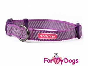 Obojky pro psy –  fialový obojek z kolekce ForMyDogs PURPLE REFLECTIVE STRIPES (2)