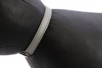 Luxusní kožený obojek pro kočky BOBBY – šedý s reflexními prvky. Místo na vepsání adresy, klasické zapínání s bezpečnostní gumou, univerzální velikost (3).