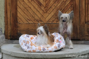 FOTO – Plyšový pelíšek pro psy od For My Dogs. Měkoučké bočnice, nadýchaný vyjímatelný polštář, celý pelíšek je vyrobený z plyšového flísu. Barva béžová.