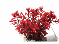  Dekorativní umělá rostlina do akvária od Sydeco. Přirozený vzhled, stabilní základna z oblázků spojených pryskyřicí. Výška 10 cm. (3)